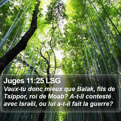 Juges 11:25 LSG Bible Verse Image