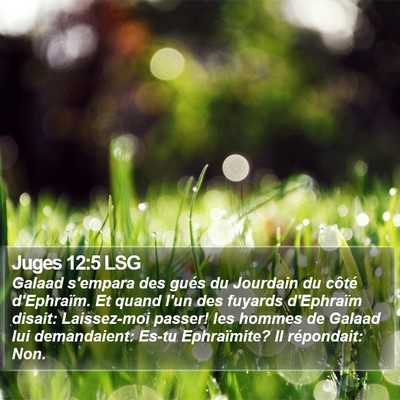 Juges 12:5 LSG Bible Verse Image