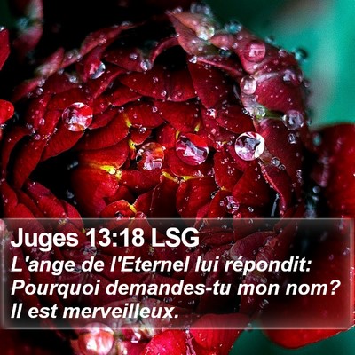 Juges 13:18 LSG Bible Verse Image