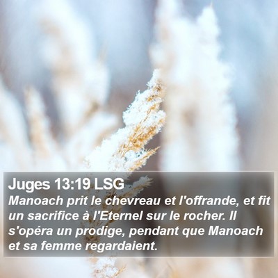 Juges 13:19 LSG Bible Verse Image
