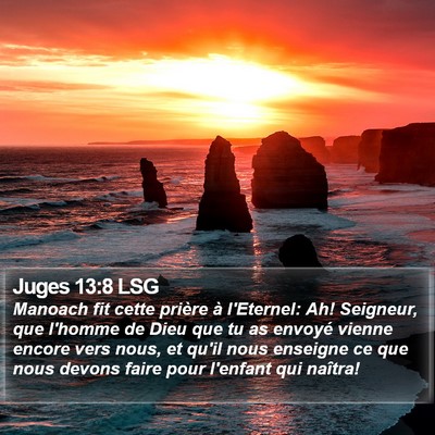 Juges 13:8 LSG Bible Verse Image