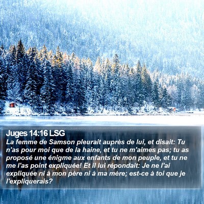 Juges 14:16 LSG Bible Verse Image