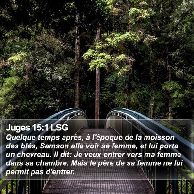 Juges 15:1 LSG Bible Verse Image