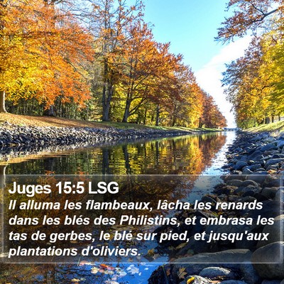 Juges 15:5 LSG Bible Verse Image
