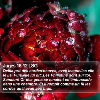 Juges 16:12 LSG Bible Verse Image