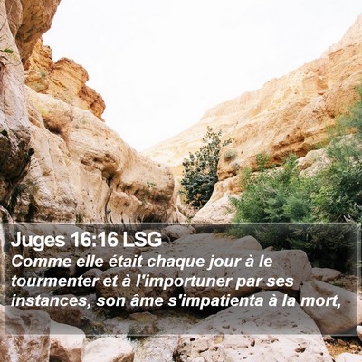 Juges 16:16 LSG Bible Verse Image