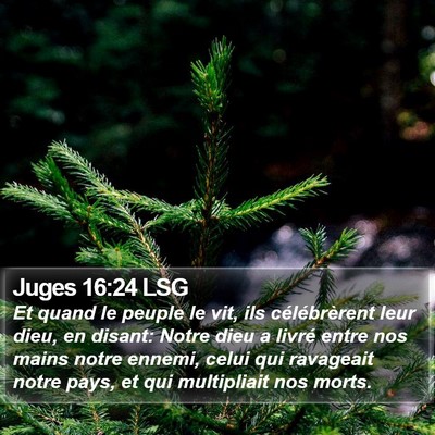 Juges 16:24 LSG Bible Verse Image