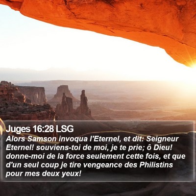 Juges 16:28 LSG Bible Verse Image
