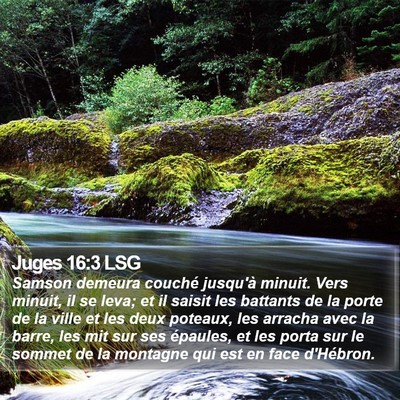 Juges 16:3 LSG Bible Verse Image