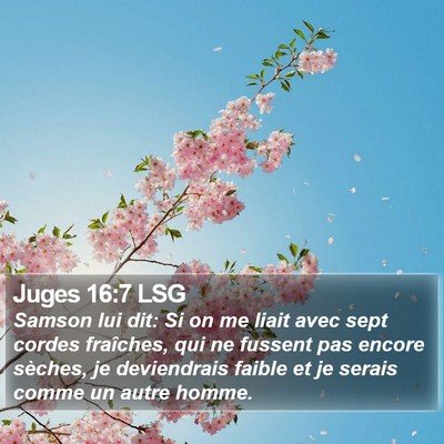 Juges 16:7 LSG Bible Verse Image