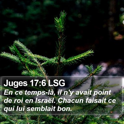 Juges 17:6 LSG Bible Verse Image