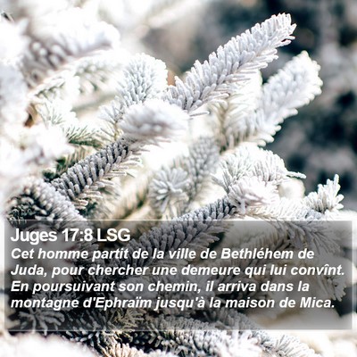 Juges 17:8 LSG Bible Verse Image