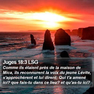 Juges 18:3 LSG Bible Verse Image