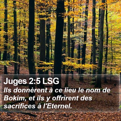 Juges 2:5 LSG Bible Verse Image