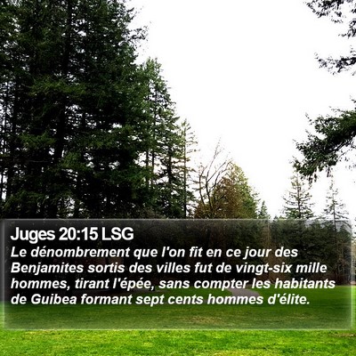 Juges 20:15 LSG Bible Verse Image