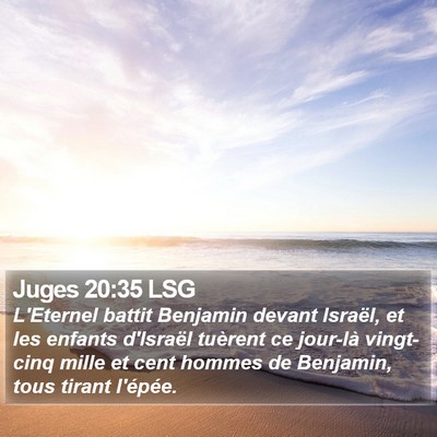 Juges 20:35 LSG Bible Verse Image
