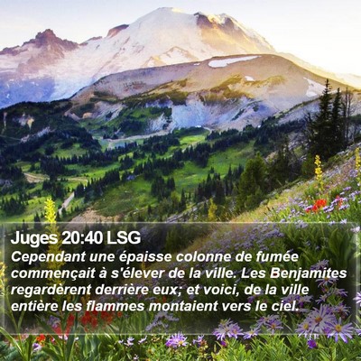 Juges 20:40 LSG Bible Verse Image
