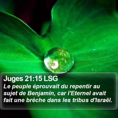 Juges 21:15 LSG Bible Verse Image