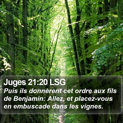 Juges 21:20 LSG Bible Verse Image