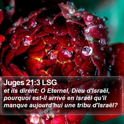 Juges 21:3 LSG Bible Verse Image