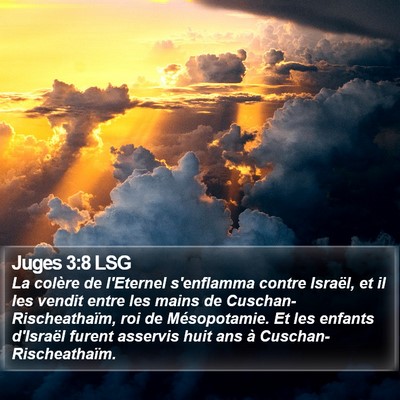 Juges 3:8 LSG Bible Verse Image