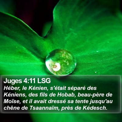 Juges 4:11 LSG Bible Verse Image