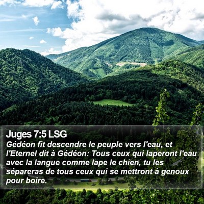 Juges 7:5 LSG Bible Verse Image