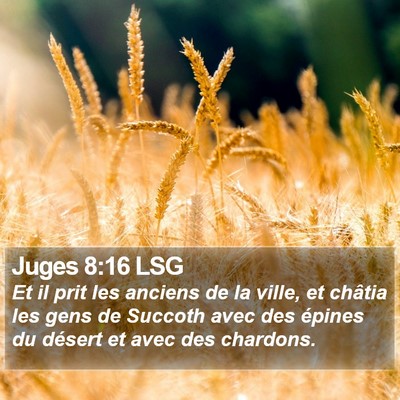 Juges 8:16 LSG Bible Verse Image