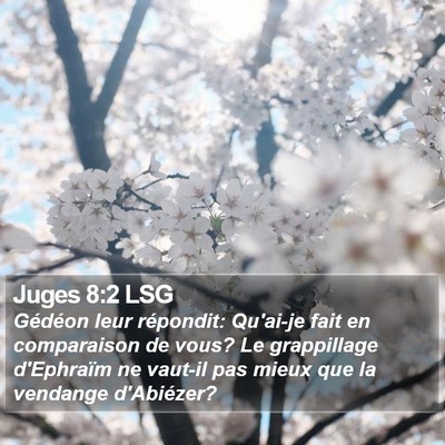 Juges 8:2 LSG Bible Verse Image