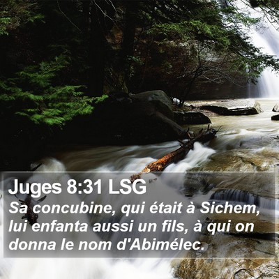 Juges 8:31 LSG Bible Verse Image