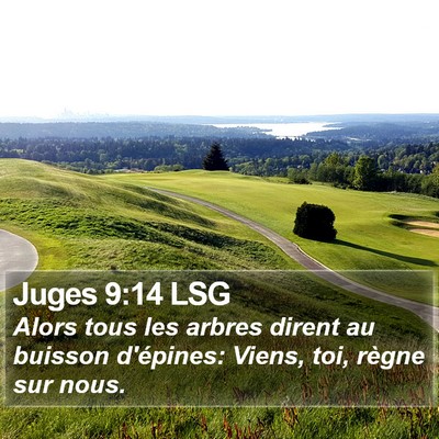 Juges 9:14 LSG Bible Verse Image