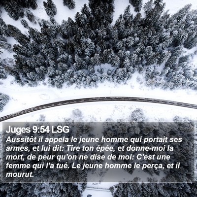 Juges 9:54 LSG Bible Verse Image