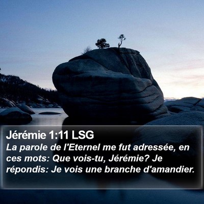 Jérémie 1:11 LSG Bible Verse Image