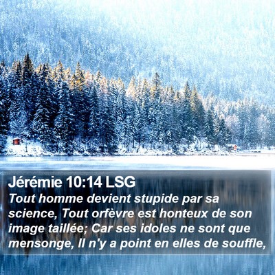Jérémie 10:14 LSG Bible Verse Image