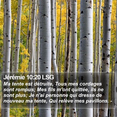 Jérémie 10:20 LSG Bible Verse Image