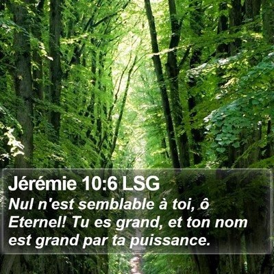 Jérémie 10:6 LSG Bible Verse Image