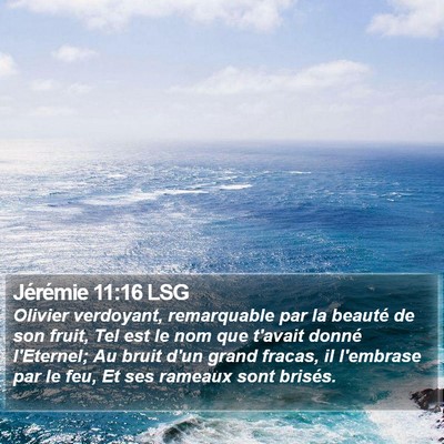 Jérémie 11:16 LSG Bible Verse Image