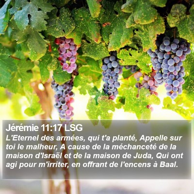 Jérémie 11:17 LSG Bible Verse Image
