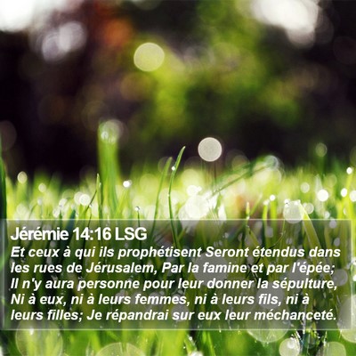 Jérémie 14:16 LSG Bible Verse Image