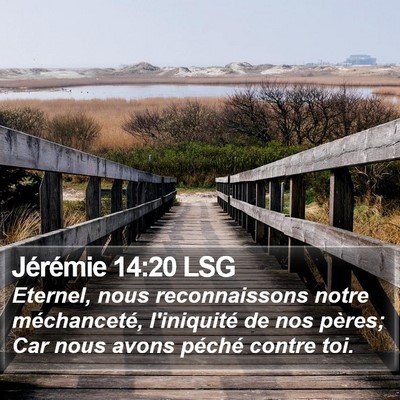 Jérémie 14:20 LSG Bible Verse Image