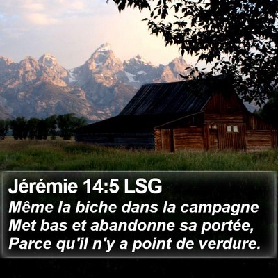 Jérémie 14:5 LSG Bible Verse Image