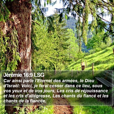 Jérémie 16:9 LSG Bible Verse Image