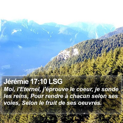 Jérémie 17:10 LSG Bible Verse Image