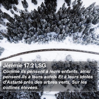 Jérémie 17:2 LSG Bible Verse Image