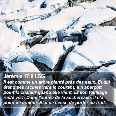 Jérémie 17:8 LSG Bible Verse Image