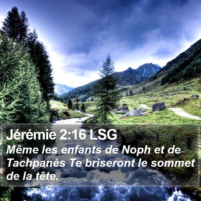 Jérémie 2:16 LSG Bible Verse Image