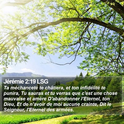Jérémie 2:19 LSG Bible Verse Image