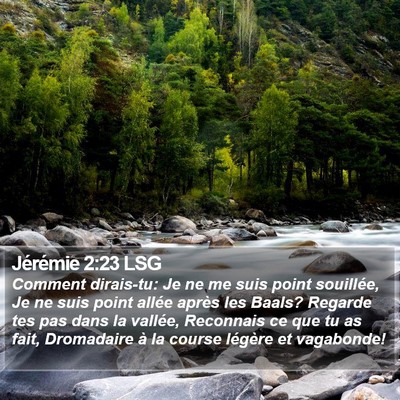 Jérémie 2:23 LSG Bible Verse Image