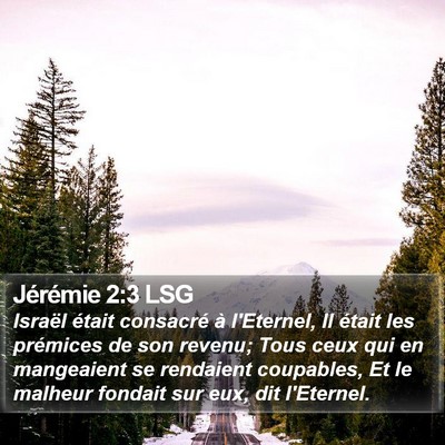 Jérémie 2:3 LSG Bible Verse Image