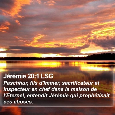 Jérémie 20:1 LSG Bible Verse Image